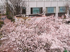2016.4.6-1.jpg