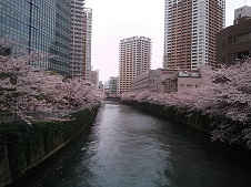 2016.4.6-2.jpg