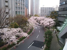 2016.4.6-4.jpg