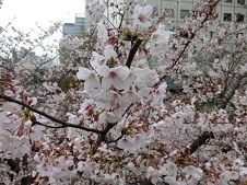 2019.4.3-1.jpg