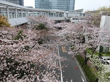 2019.4.3-2.jpg
