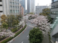 2019.4.3-3.jpg