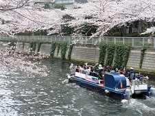 2019.4.3-4.jpg