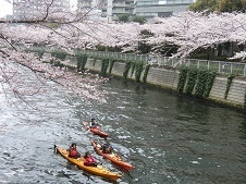 2019.4.3-5.jpg