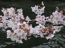 2019.4.3-6.jpg